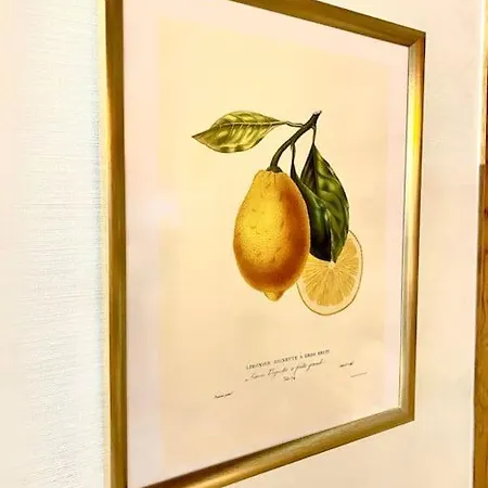 Apartamento Pantheon 5 París